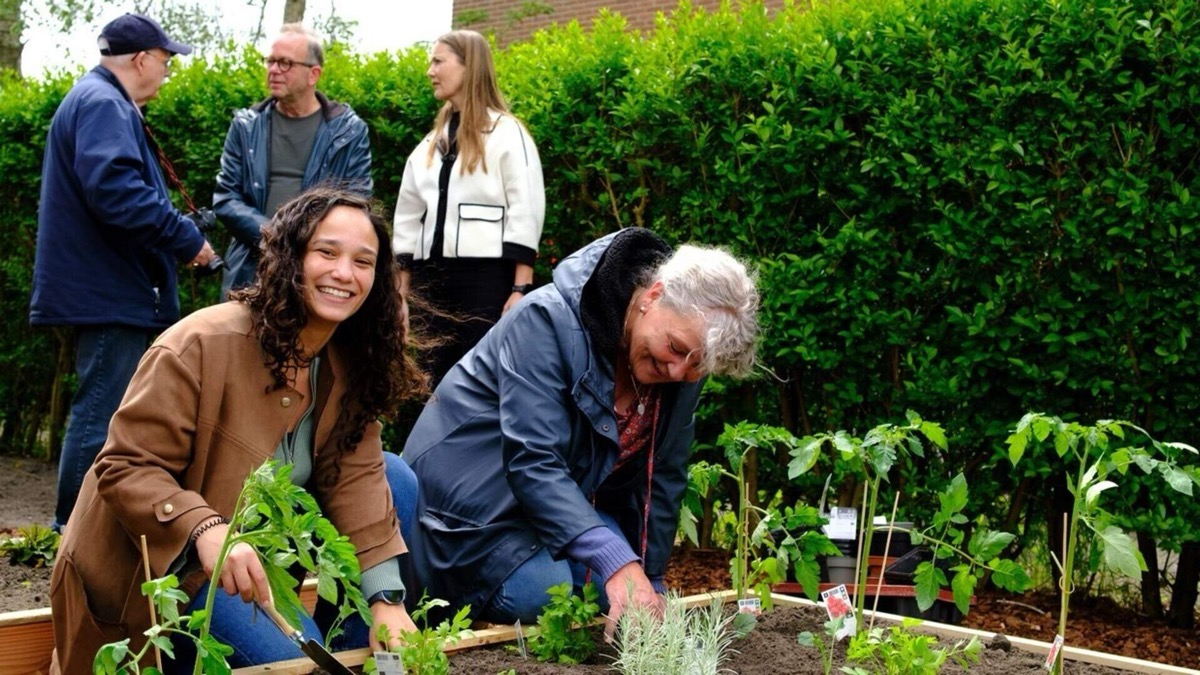 Mensen komen samen in een groene buurtmoestuin